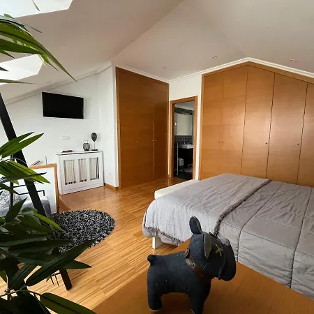 Maravilloso Atico-duplex Vigo